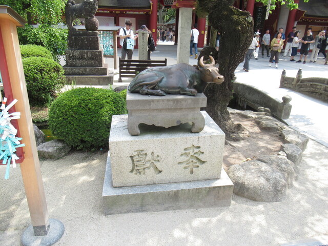 IMG_1735.JPG