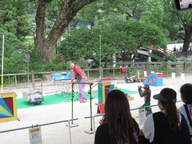 IMG_1742.JPG