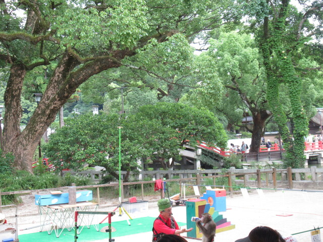 IMG_1743.JPG