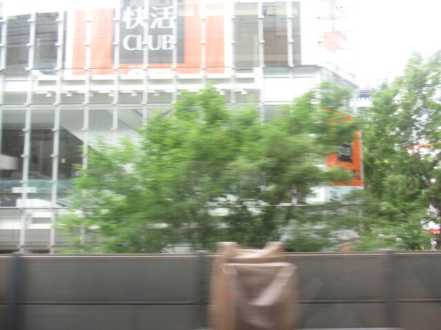 IMG_1913.JPG