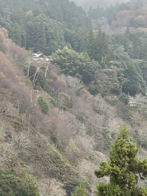 IMG_2638.JPG