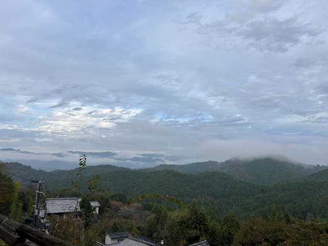 IMG_2644.JPG