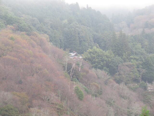 IMG_3421.JPG