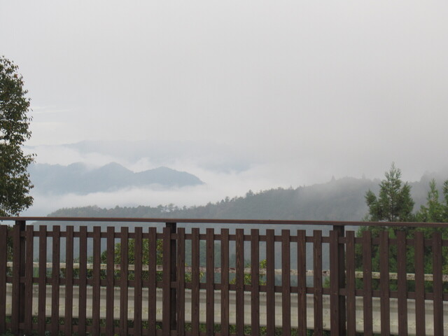 IMG_3432.JPG