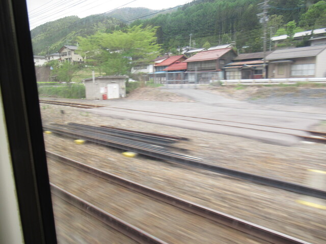 IMG_8240.JPG
