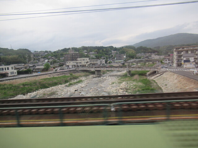IMG_8330.JPG