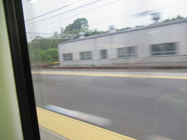 IMG_8333.JPG