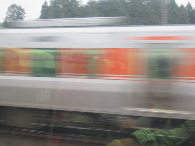 IMG_8339.JPG