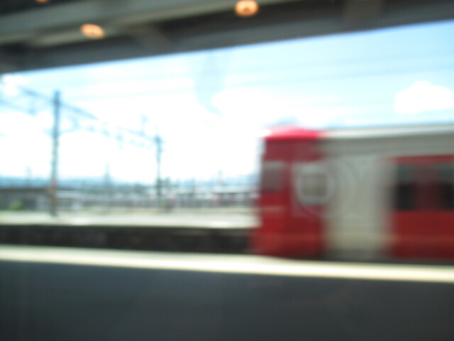 IMG_9658.JPG