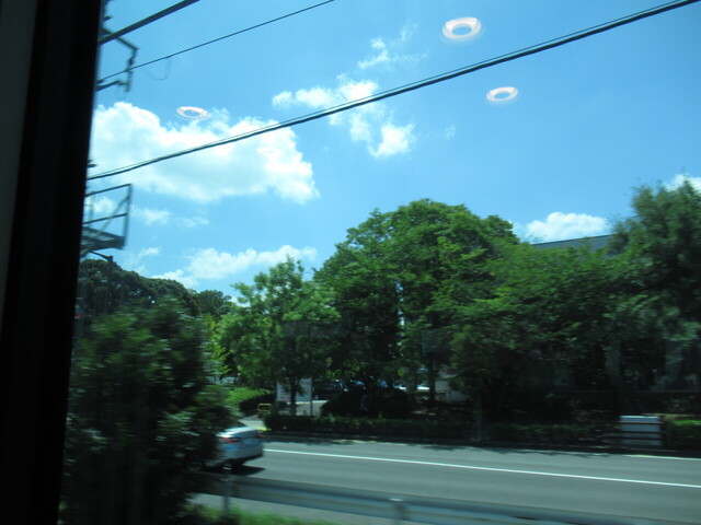 IMG_9660.JPG