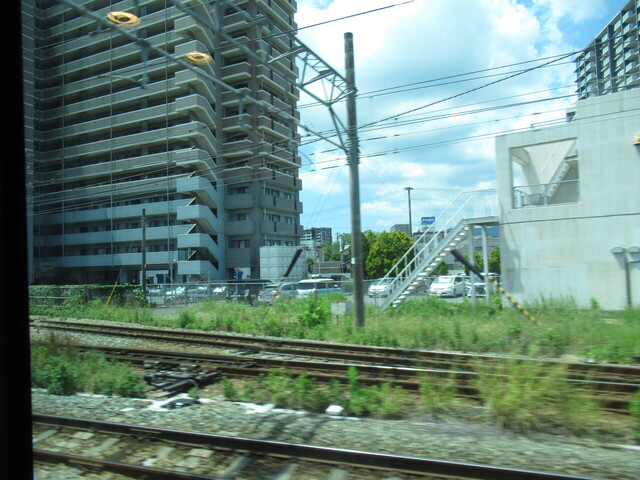 IMG_9666.JPG