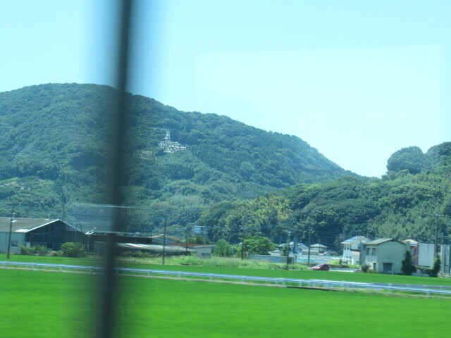 IMG_9695.JPG