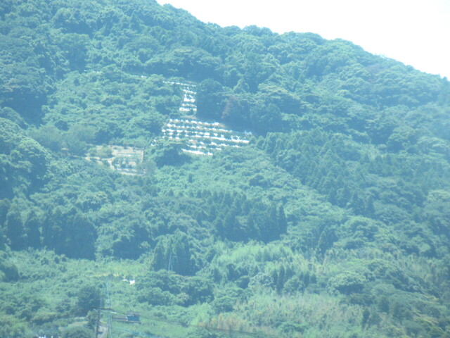 IMG_9696.JPG