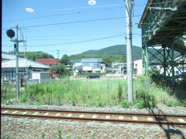 IMG_9701.JPG
