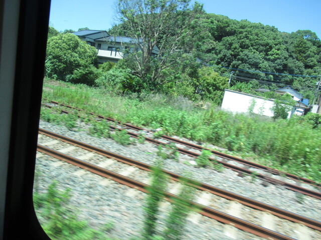 IMG_9706.JPG