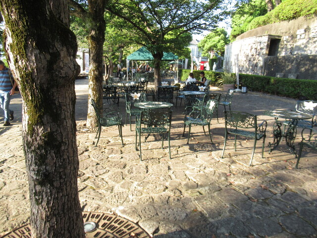 IMG_9879.JPG