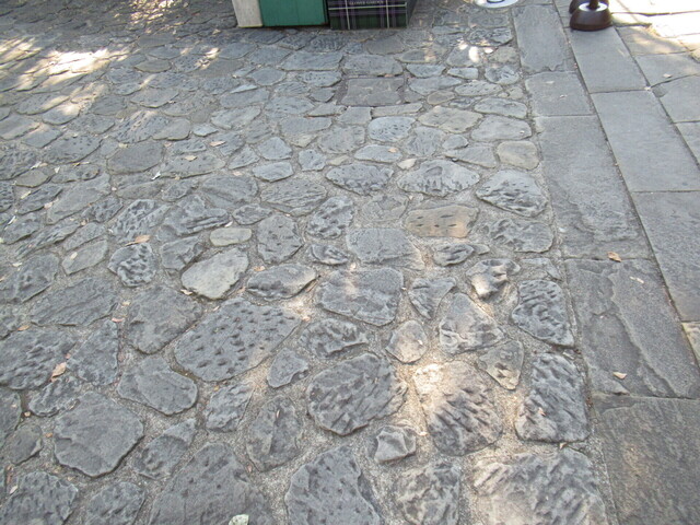 IMG_9882.JPG